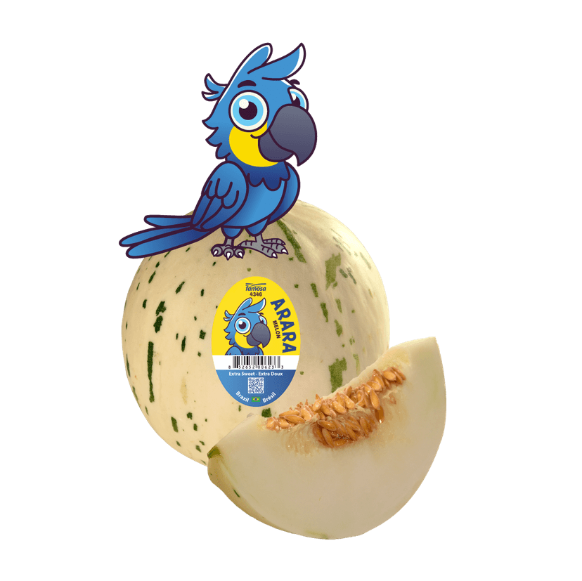 Arara